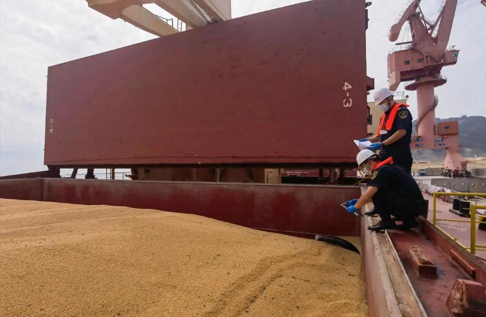 粮食卸船气力输送